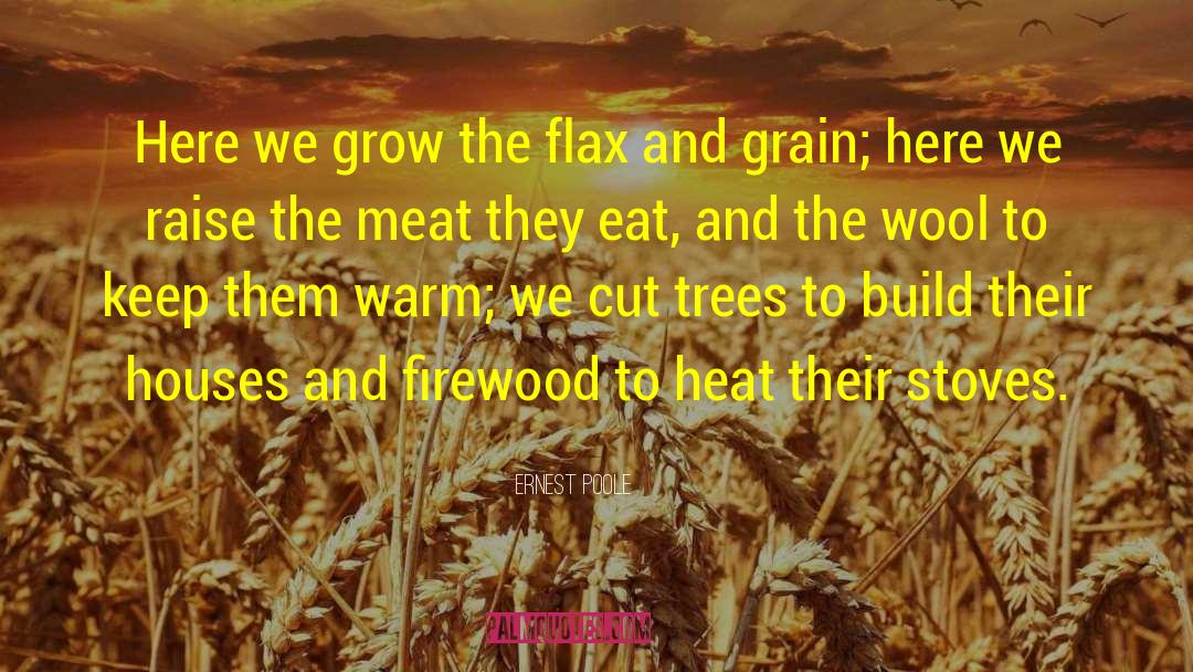 Firewood quotes by Ernest Poole