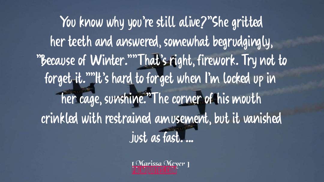 Firework quotes by Marissa Meyer