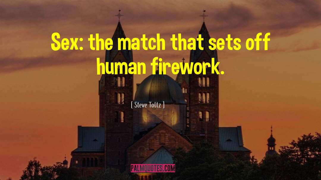 Firework quotes by Steve Toltz