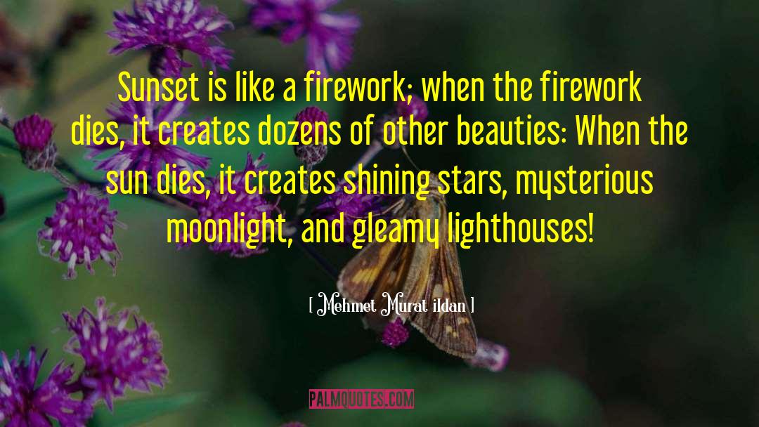 Firework quotes by Mehmet Murat Ildan