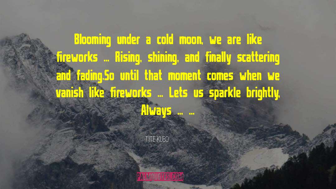 Fireworks quotes by Tite Kubo