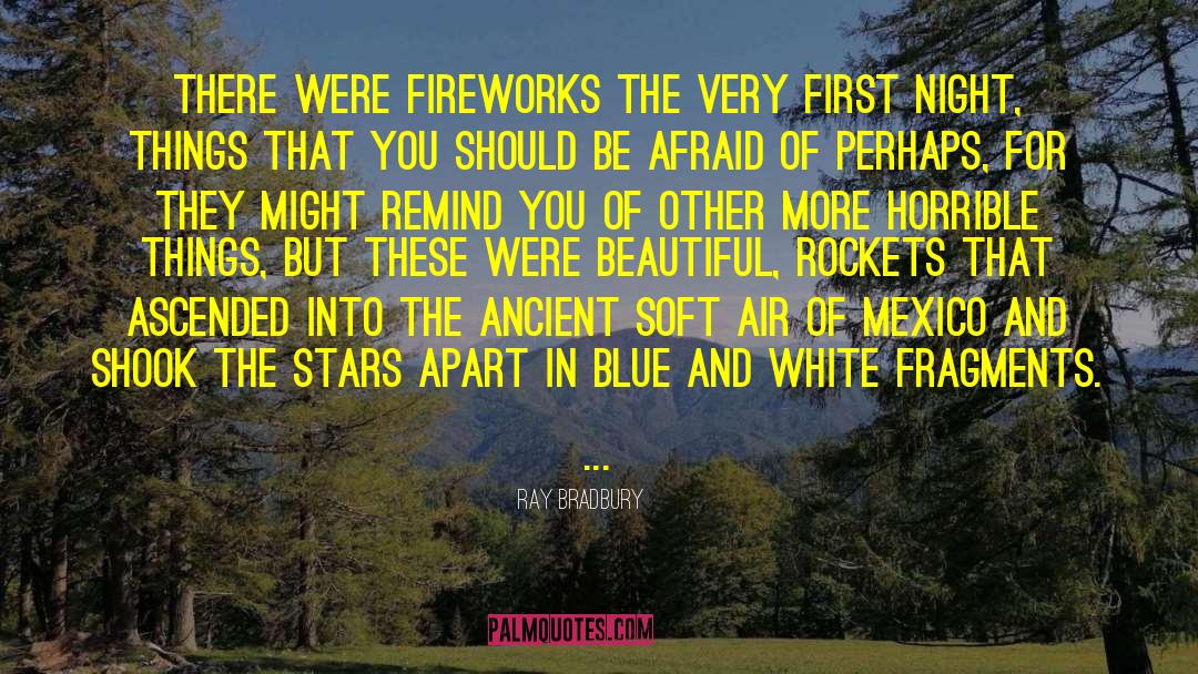 Fireworks quotes by Ray Bradbury