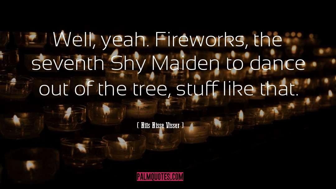 Fireworks quotes by Nils Nisse Visser