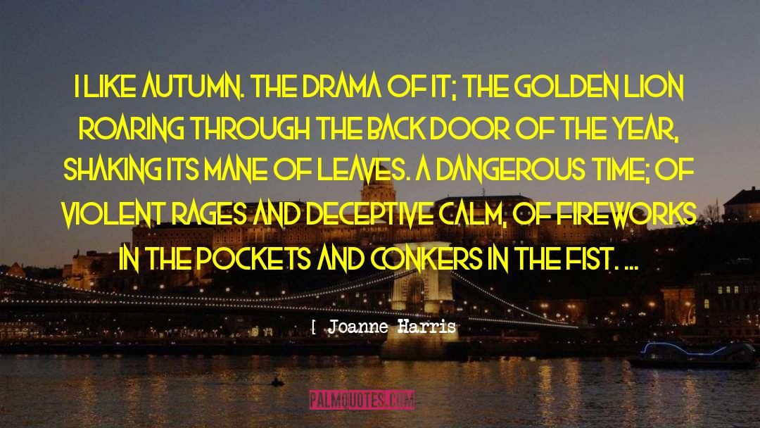 Fireworks quotes by Joanne Harris