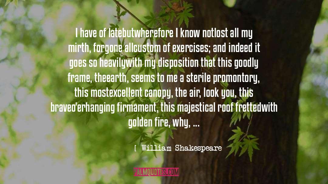 Firmament quotes by William Shakespeare