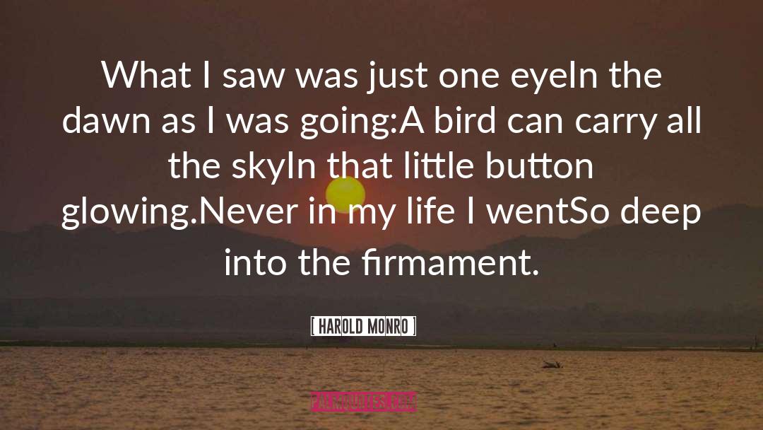 Firmament quotes by Harold Monro