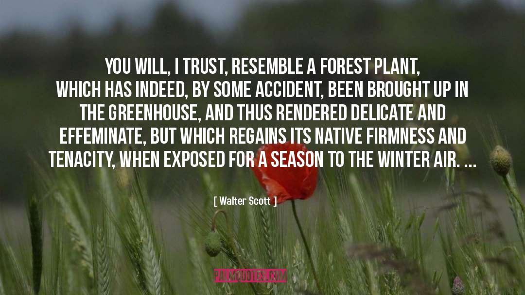 Firmness quotes by Walter Scott