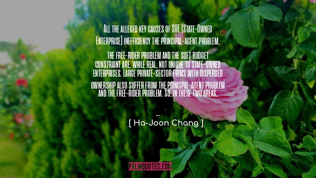 Firms quotes by Ha-Joon Chang