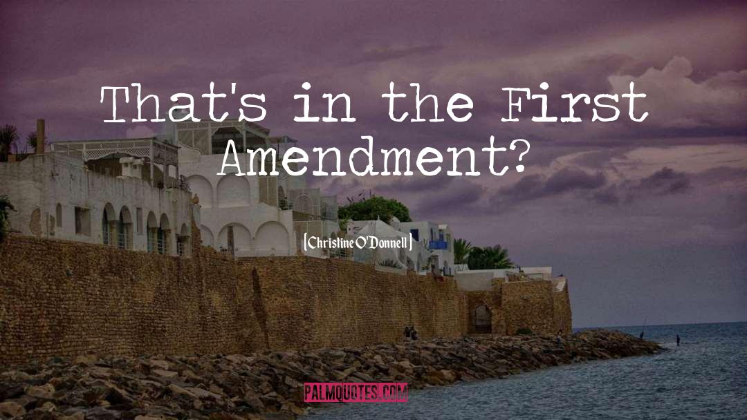 First Amendment quotes by Christine O'Donnell