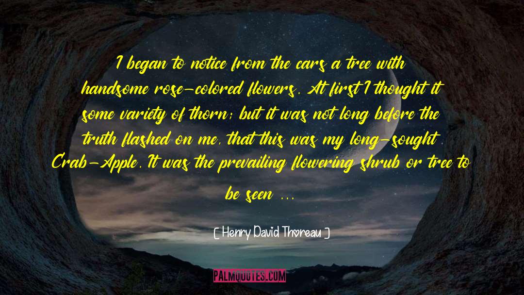 First Birthday quotes by Henry David Thoreau