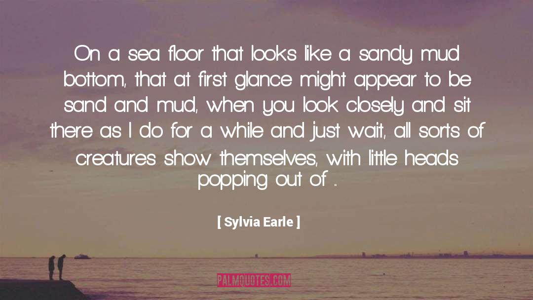 First Glance quotes by Sylvia Earle