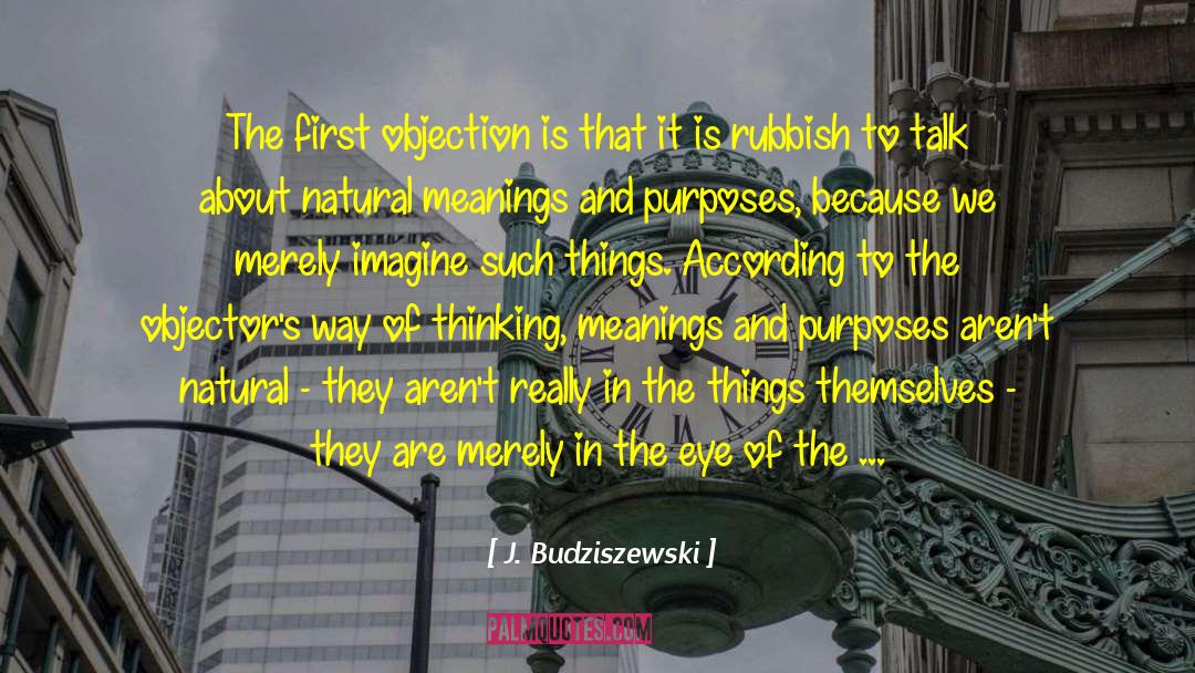 First Law Of Motion quotes by J. Budziszewski