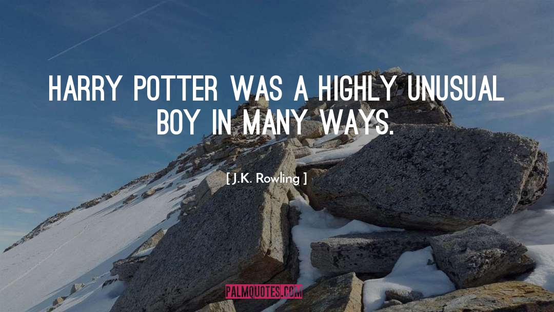 First Sentence quotes by J.K. Rowling