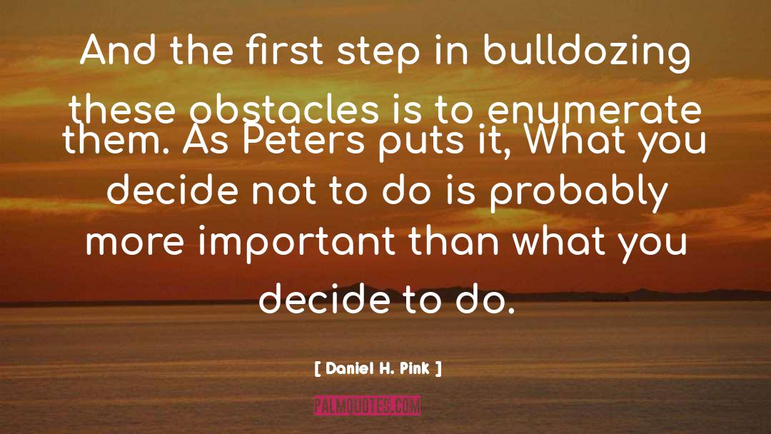 First Step quotes by Daniel H. Pink