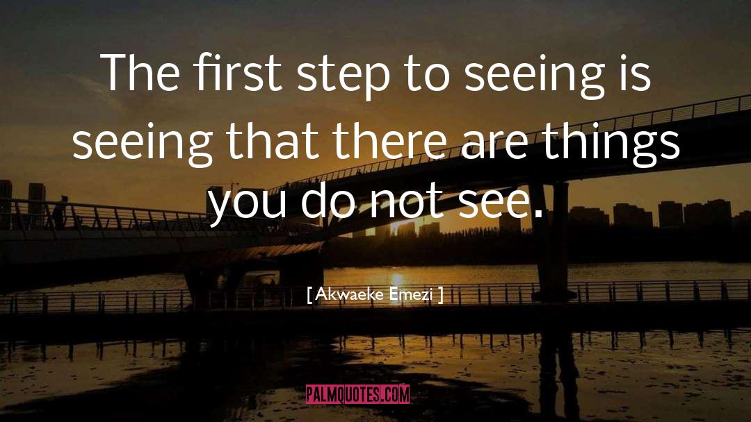 First Step quotes by Akwaeke Emezi