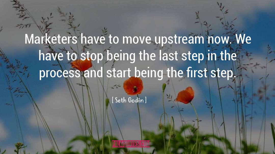 First Steps quotes by Seth Godin