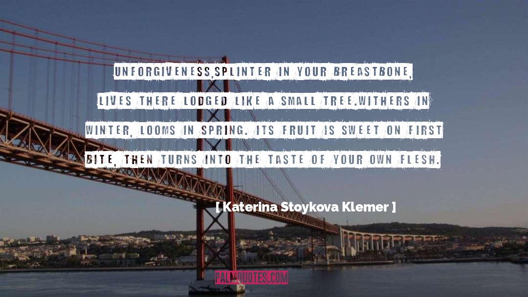 First Taste Of Fame quotes by Katerina Stoykova Klemer