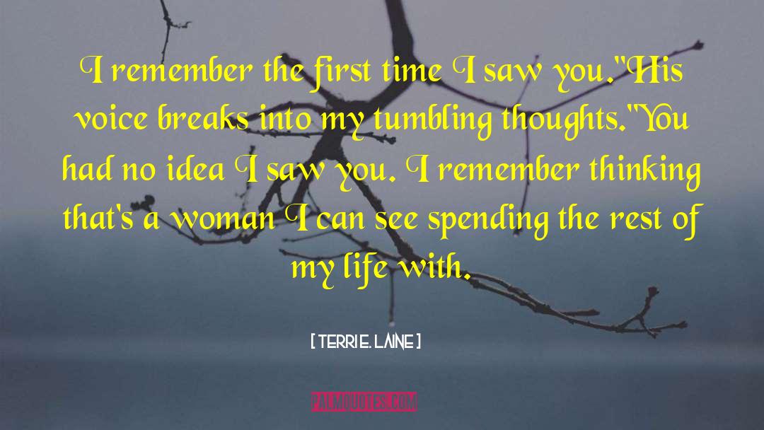 First Time I Saw You quotes by Terri E. Laine