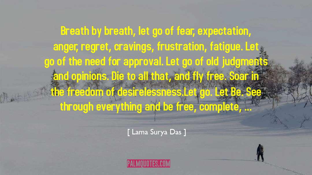 Fish Breath quotes by Lama Surya Das