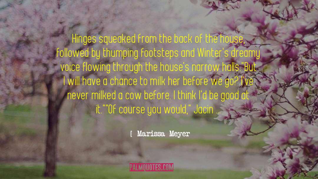 Fish Houses quotes by Marissa Meyer