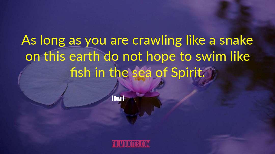 Fish In The Sea quotes by Rumi
