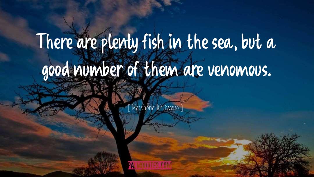 Fish In The Sea quotes by Matshona Dhliwayo
