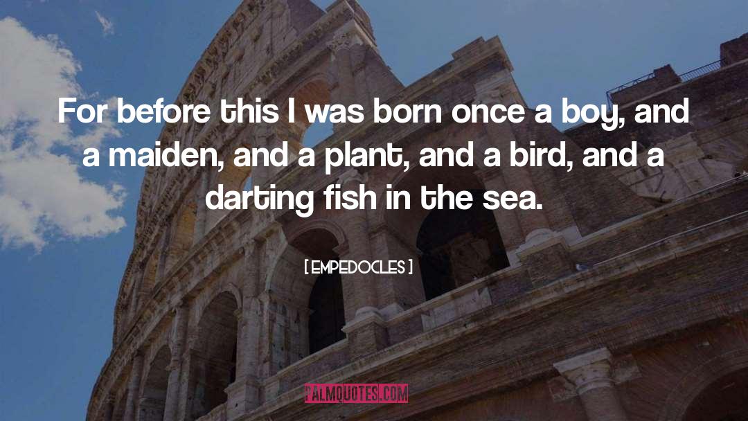 Fish In The Sea quotes by Empedocles