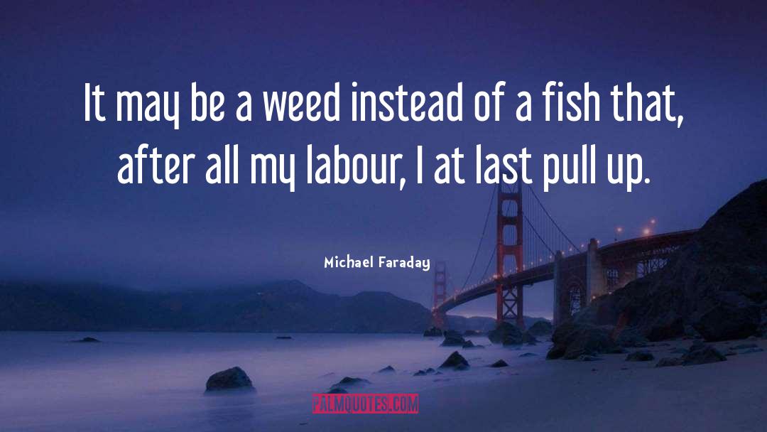 Fish Tank quotes by Michael Faraday