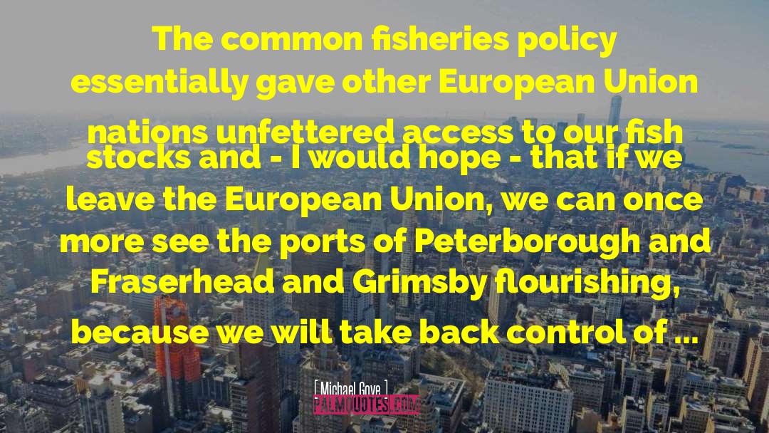 Fish Tanks quotes by Michael Gove