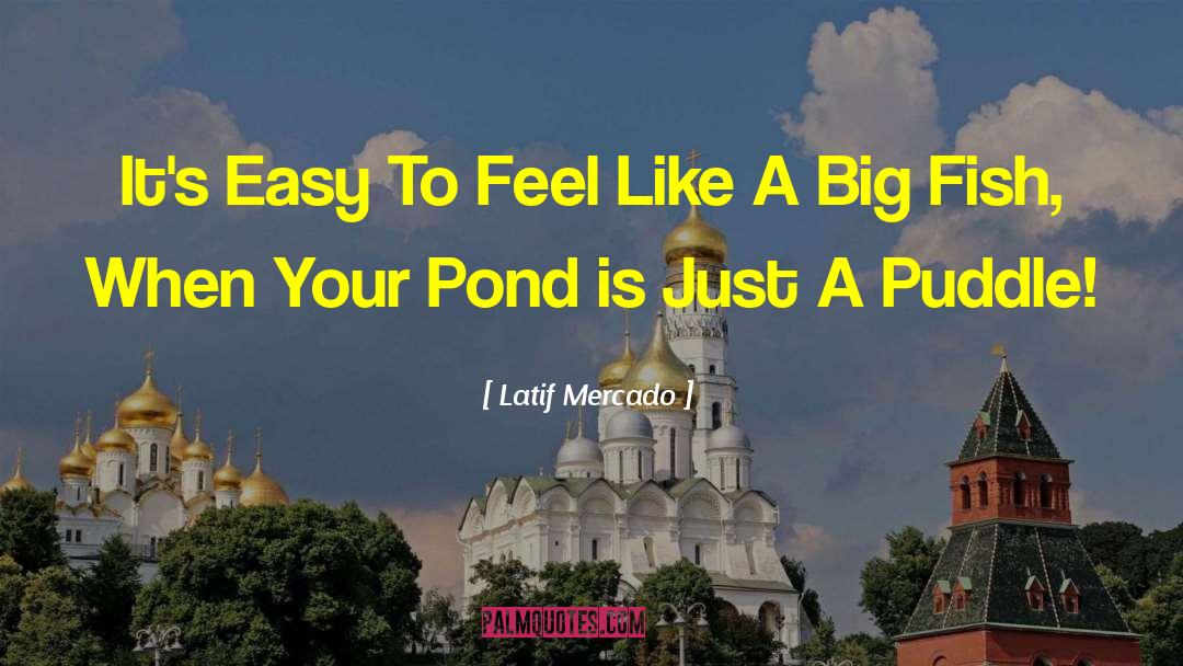 Fish Tanks quotes by Latif Mercado