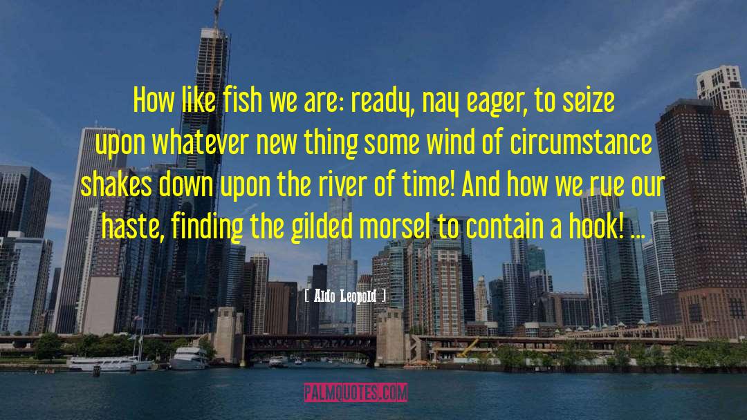 Fishing Boats quotes by Aldo Leopold