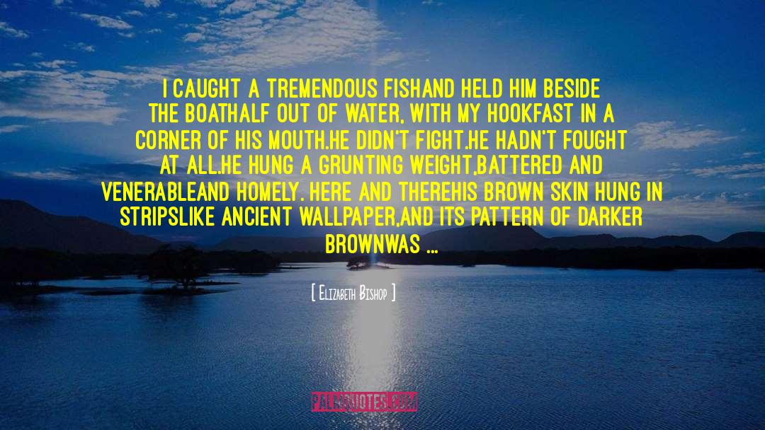 Fishing Hook quotes by Elizabeth Bishop