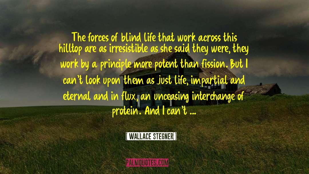 Fission quotes by Wallace Stegner