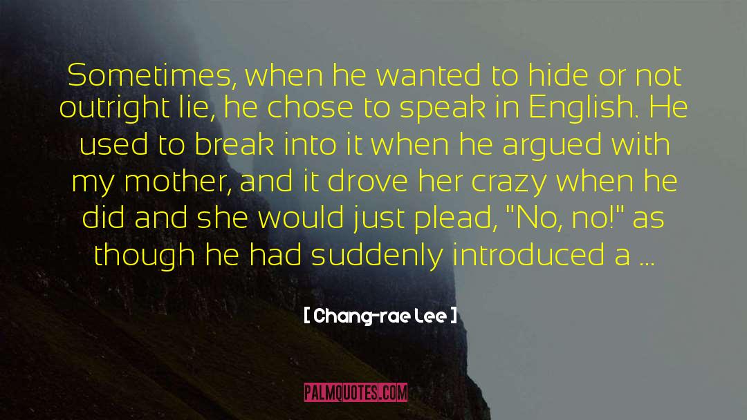 Fistfight quotes by Chang-rae Lee
