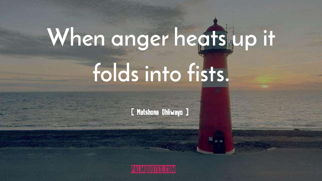 Fists quotes by Matshona Dhliwayo