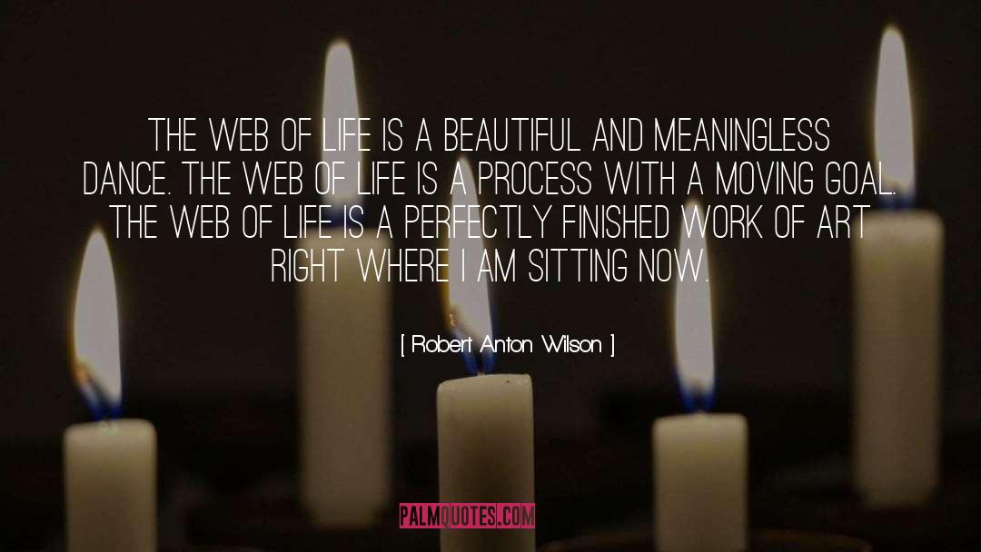 Fitness Goal quotes by Robert Anton Wilson