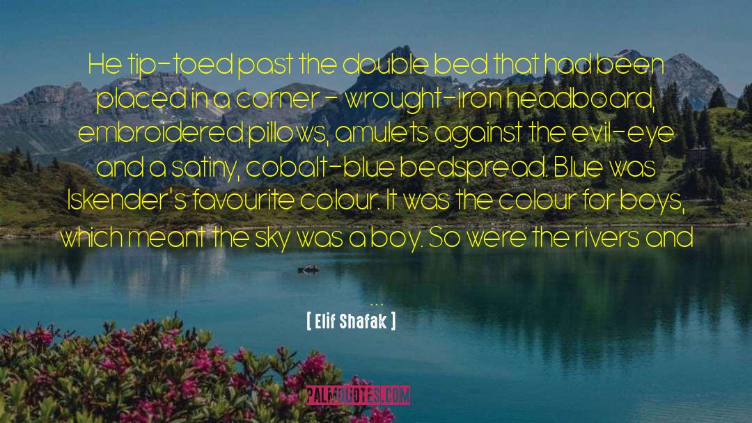 Fitness Iron quotes by Elif Shafak