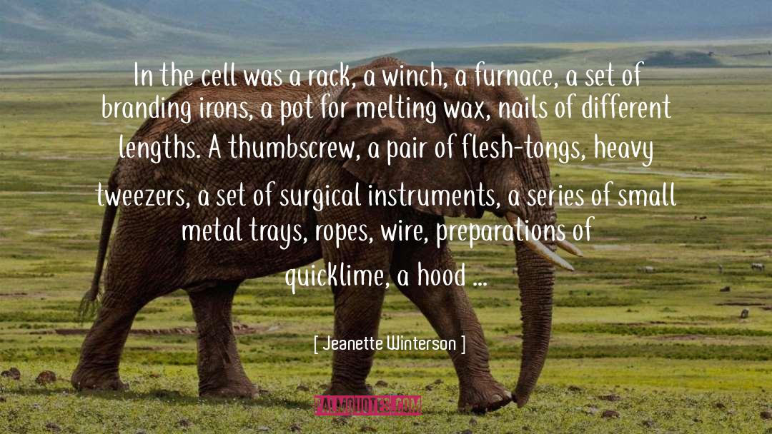 Fiumara Surgical Bonnets quotes by Jeanette Winterson