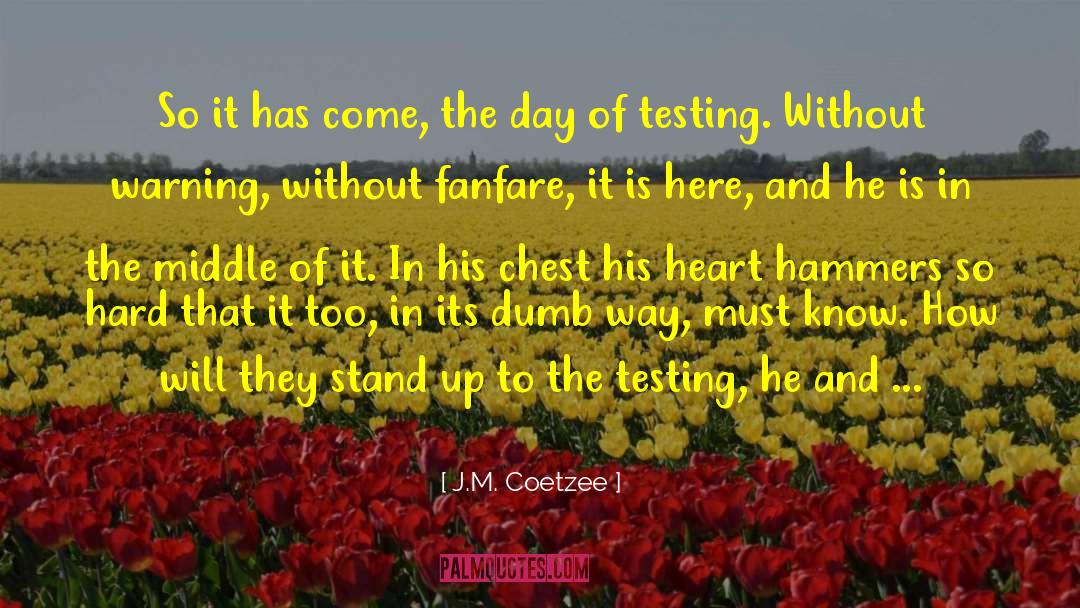 Five Flavors Of Dumb quotes by J.M. Coetzee