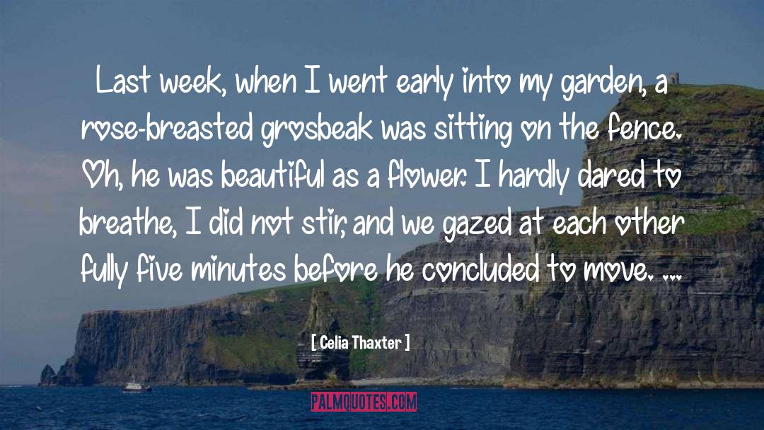Five Minutes To Easter quotes by Celia Thaxter