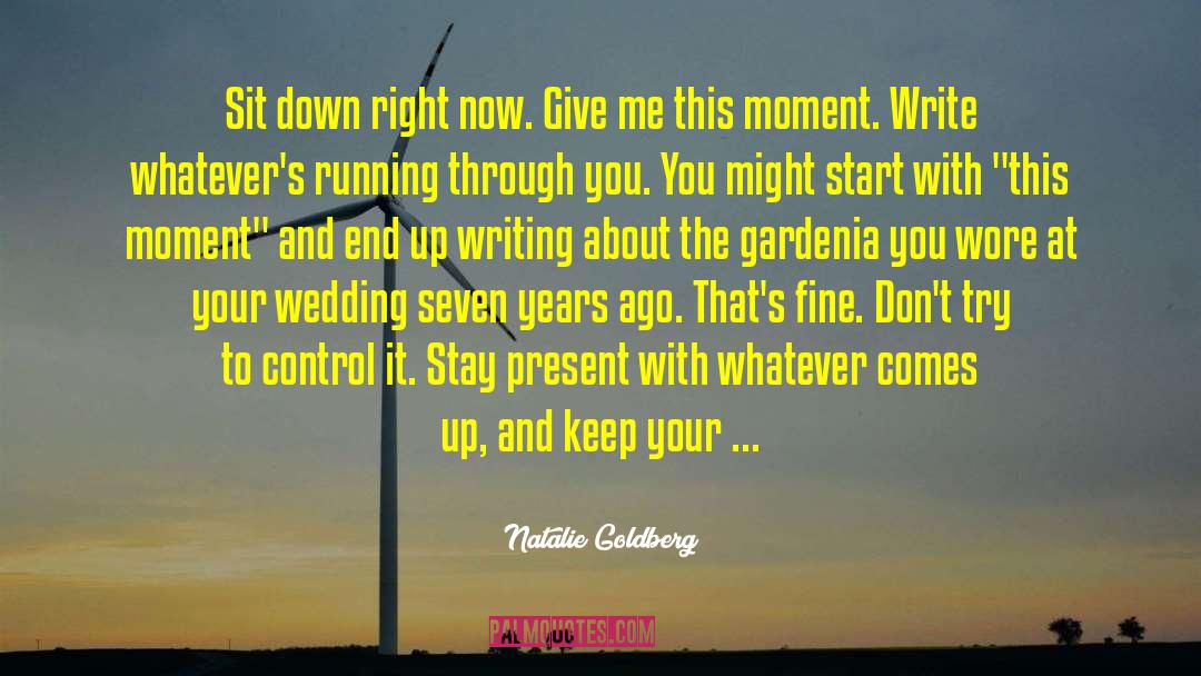 Five Score And Seven Years Ago quotes by Natalie Goldberg