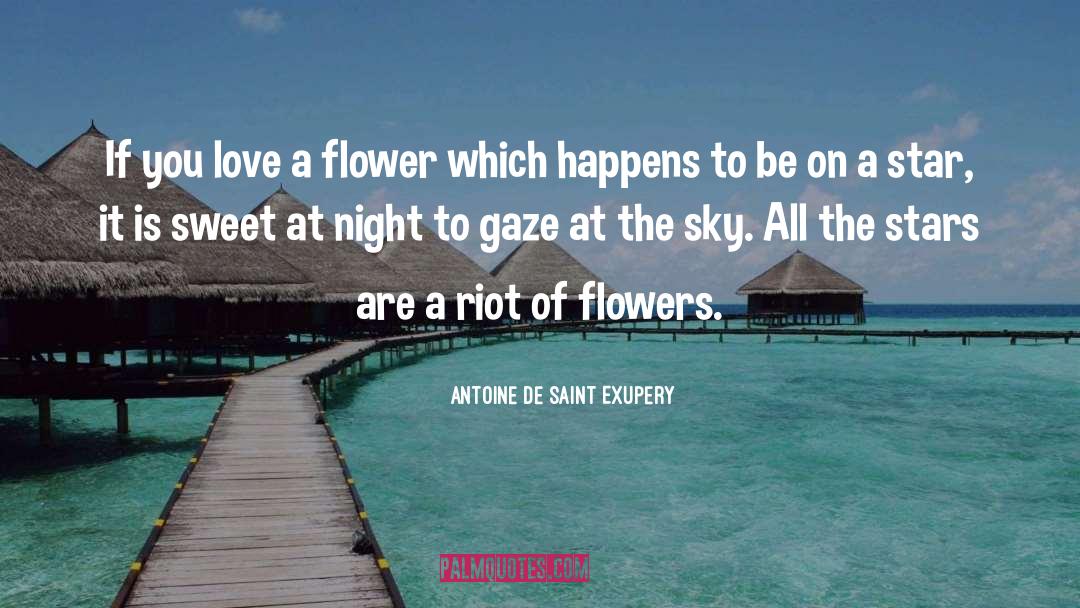 Five Stars quotes by Antoine De Saint Exupery