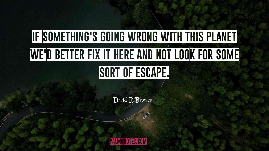 Fix It quotes by David R. Brower