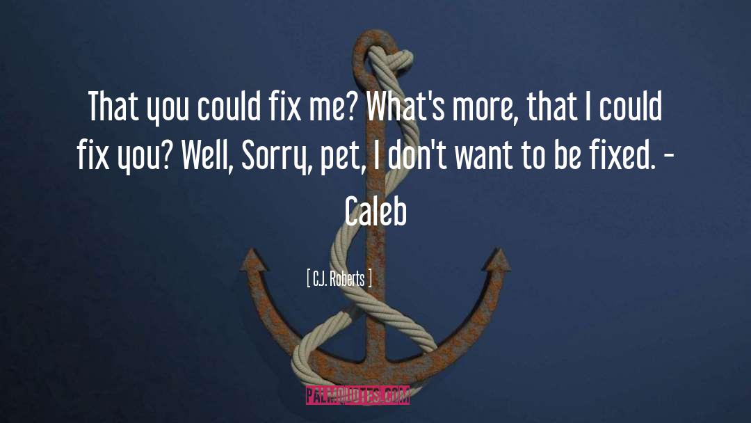 Fix Me quotes by C.J. Roberts