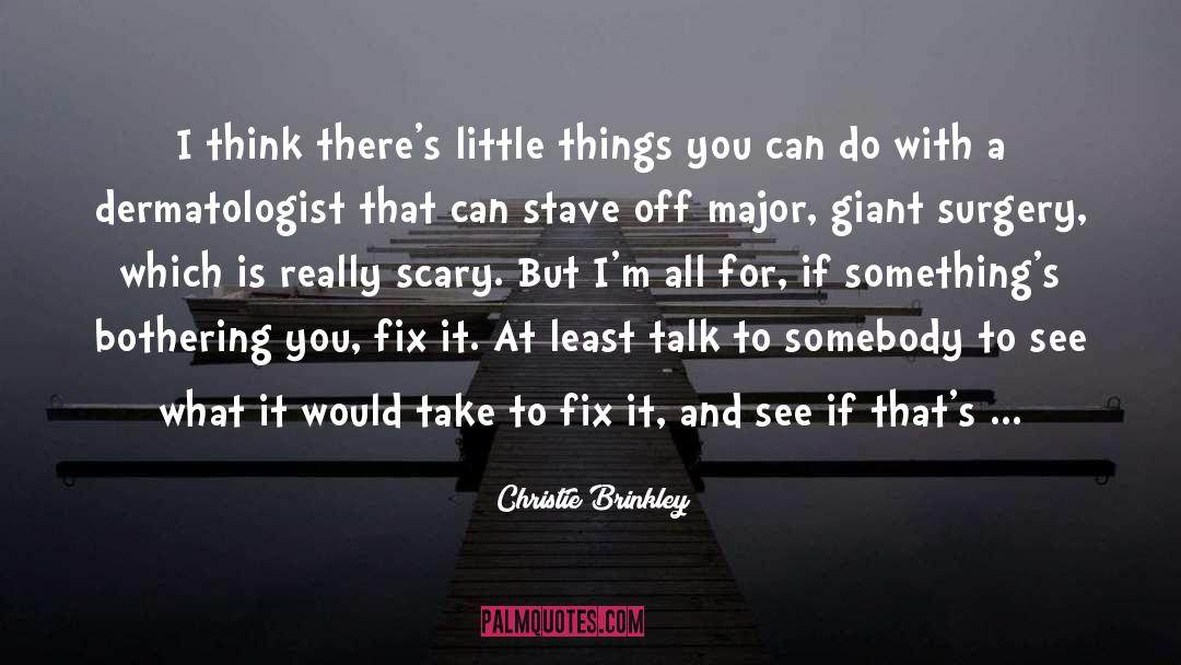 Fix Me quotes by Christie Brinkley