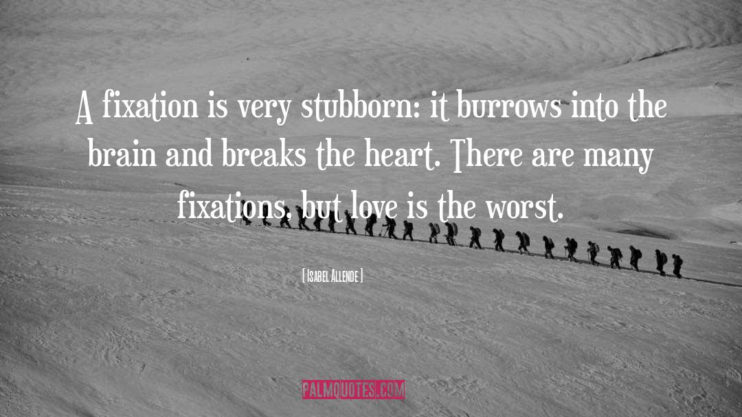 Fixation quotes by Isabel Allende