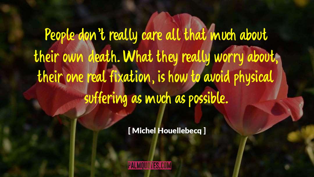 Fixation quotes by Michel Houellebecq