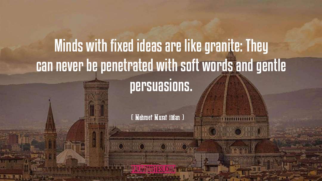 Fixed Ideas quotes by Mehmet Murat Ildan