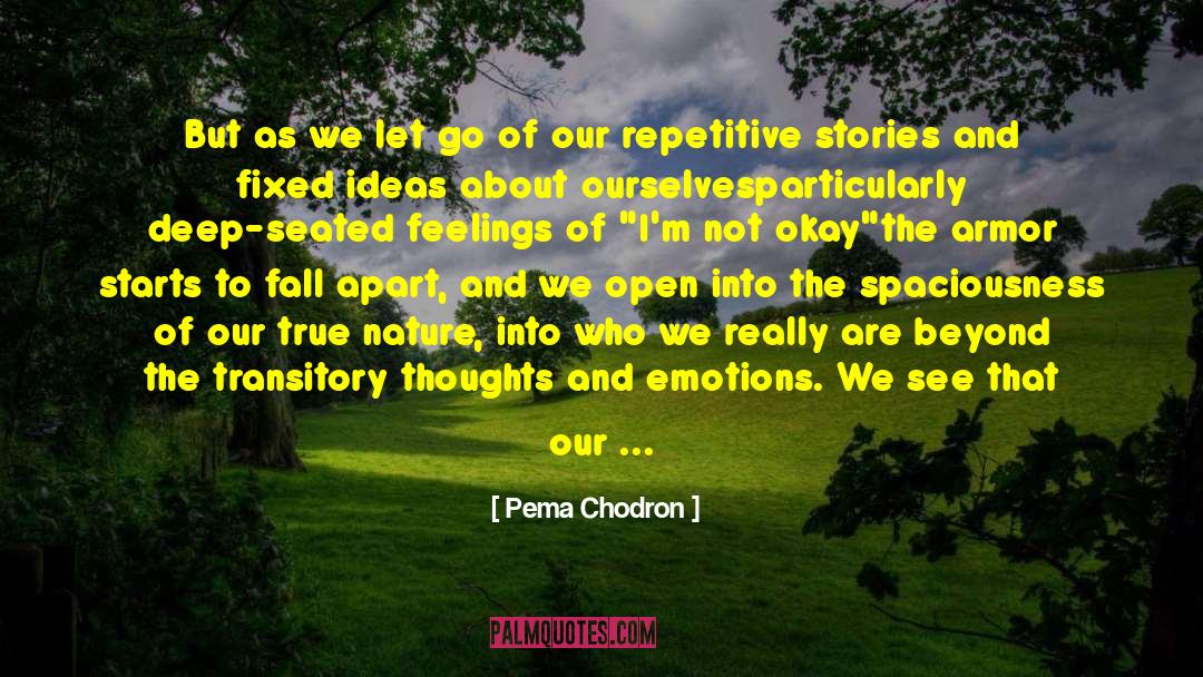 Fixed Ideas quotes by Pema Chodron
