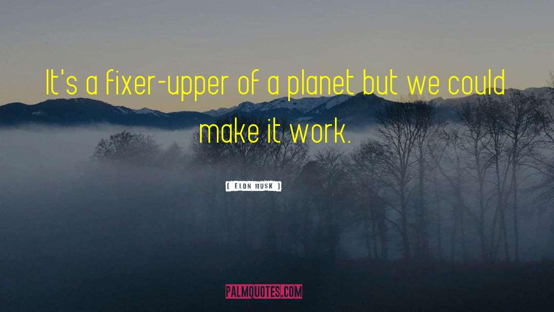 Fixer Upper quotes by Elon Musk